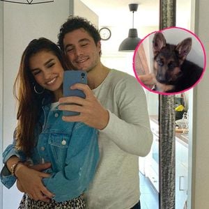 Danilo Cristilli und seine Freundin sind jetzt Hunde-Eltern