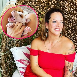 "Unser Baby": Danni Büchner und Sohel haben jetzt einen Hund