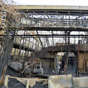Schreckliche Bilder: So schlimm war der Brand im Affenhaus