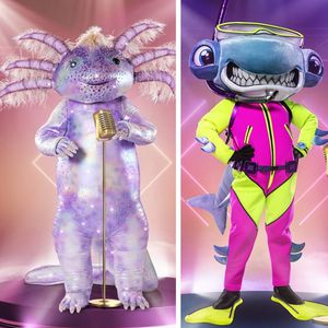 Vor Show zwei: Wer ist euer "The Masked Singer"-Liebling?