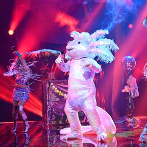 So sollte es mit dem "The Masked Singer"-Axolotl weitergehen