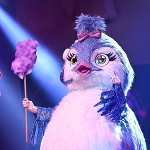 Hier gibt es alle Indizien zum "The Masked Singer"-Küken!