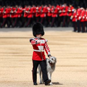 Thronjubiläum der Queen: Hund ist heimlicher Star der Parade