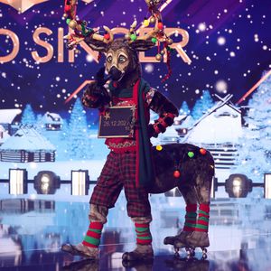 "The Masked Singer"-Weihnachtsshow: Erste Maske bekannt