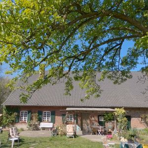 Sind das die diesjährigen "Das Sommerhaus der Stars"-Paare?