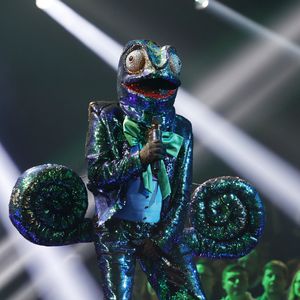 Wie erwartet? Dieser Promi ist "Masked Singer"-Chamäleon!