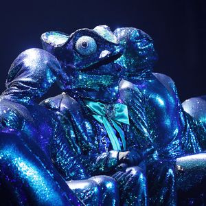 Gibt es einen Voting-Skandal bei "Masked Singer"-Australia?