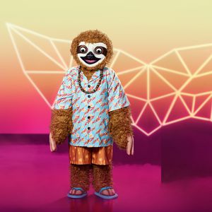 Rateteam: Enttarnen diese "Masked Singer"-Hinweise Faultier?