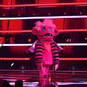 "The Masked Singer"-Monster erobert "The Voice Kids"-Bühne
