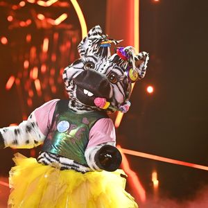 Vorm Finale: Alle Indizien zum "The Masked Singer"-Zebra