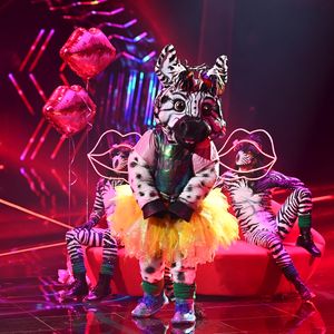 Wer soll im "The Masked Singer"-Halbfinale weiterkommen?