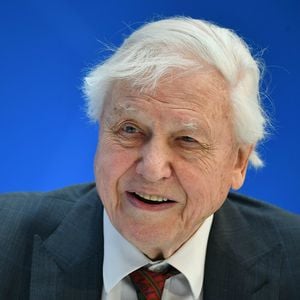 Emmy-Rekord mit 100 Jahren: David Attenborough hängt alle ab