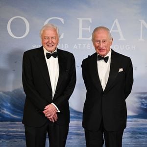 David Attenborough wird 100: Charles & David Beckham feiern
