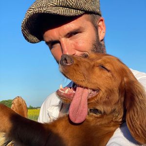 Tierliebe: So süß kuschelt David Beckham mit Hündin Sage