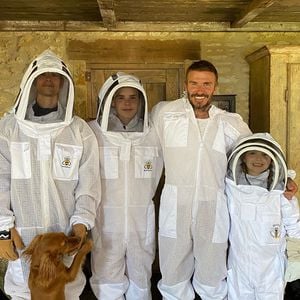 Hobby-Imker! David Beckham will bald eigenen Honig verkaufen