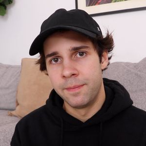 Vergewaltigungsvorwurf: David Dobrik gesteht Teilschuld ein!