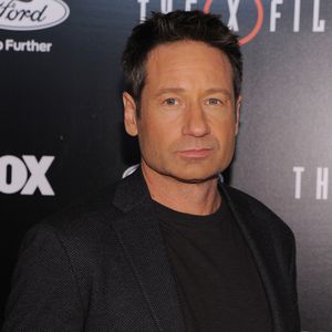 Californication: Unterstützung für Hank Moody!
