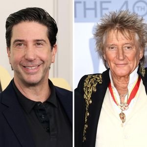 David Schwimmer lieferte Rod Stewart die Scheidungspapiere