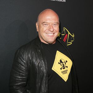 Hank Schrader wäre fast kein Teil von "Breaking Bad" gewesen