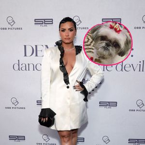 "Ruhe in Frieden": Demi Lovato trauert um Familienhund Bella