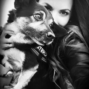 Sommerhaus-Star Denise Kappès trauert: Ihr Hund Luis ist tot