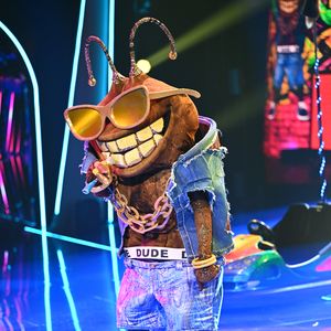 Fans munkeln: Er könnte der "The Masked Singer"-Dude sein