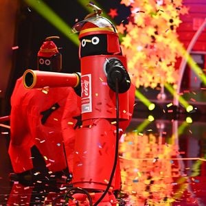 Dieser Star steckte bei "The Masked Singer" im Feuerlöscher!