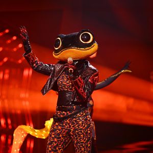 Dieser Star ist der "The Masked Singer"-Feuersalamander