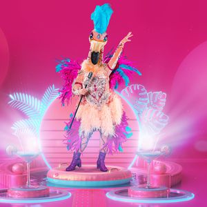 20.000 Kristalle: So aufwendig ist "Masked Singer"-Flamingo