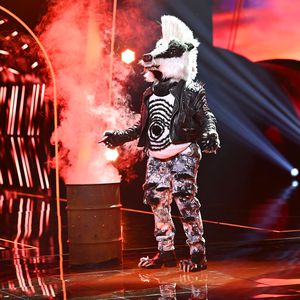 "Masked Singer Austria": Dieser ESC-Star ist der Frechdachs
