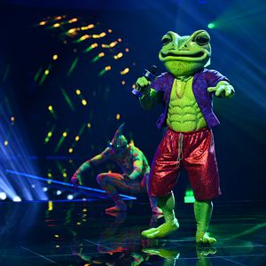 Alle bisherigen Indizien zum "The Masked Singer"-Frosch!
