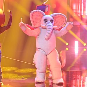"The Masked Singer"-Finale: Dieser Star ist der Frotteefant!