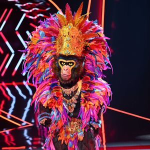 Fans sind sicher: Er ist der "The Masked Singer"-Gorilla