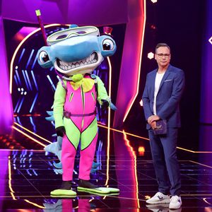 Nach "The Masked Singer": Bald auch maskierte Tänzer im TV