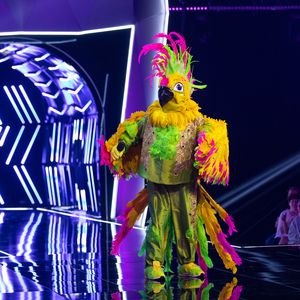 "The Masked Singer": Noch mehr Zuschauer als letzte Woche!
