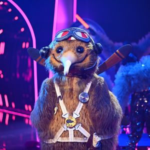 Dieser Star steckte bei "The Masked Singer" im Kiwi-Kostüm!
