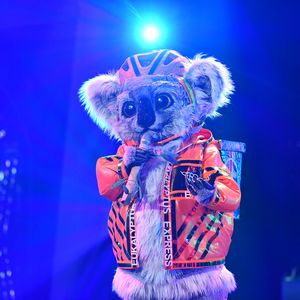Enttarnt! Dieser UK-Star war der "The Masked Singer"-Koala