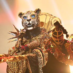 Der "The Masked Singer"-Leopard kriecht auf die Bühne