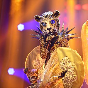 Vorm Finale: Alle Indizien zum "The Masked Singer"-Leoparden