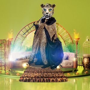 Fans irritiert: Was war mit "The Masked Singer"-Leopard los?