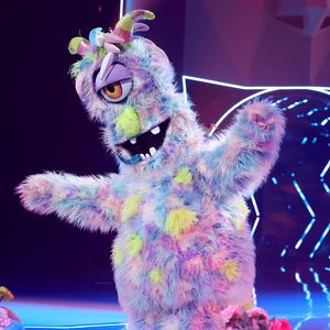 Das sind die finalen "The Masked Singer"-Tipps der Fans!