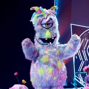 Das sind die aktuellen Tipps der "The Masked Singer"-Fans