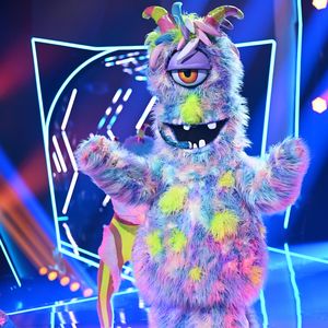 Indizien passen: Ist er der "The Masked Singer"-Lulatsch?
