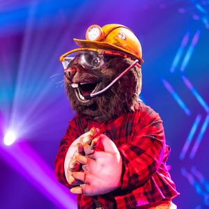 Hat der "The Masked Singer"-Maulwurf verdient gewonnen?