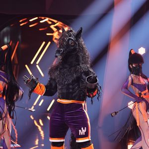 Indizien beweisen: Ist er der "The Masked Singer"-Mustang?