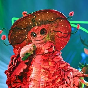 Dieser Star steckt hinter dem "The Masked Singer"-Pilz!