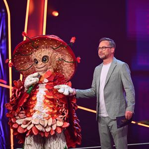"Masked Singer"-Ratefieber: Auf diese Promis tippen die Fans