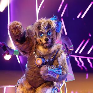 Diese Prominente war der Robodog bei "The Masked Singer"!