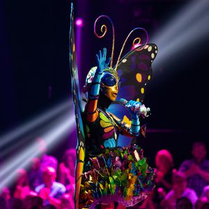 Sind die "The Masked Singer"-Tipps etwa zu verwirrend?