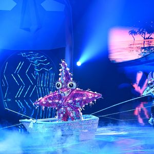 Auch dieser Promi wurde bei "The Masked Singer" enttarnt